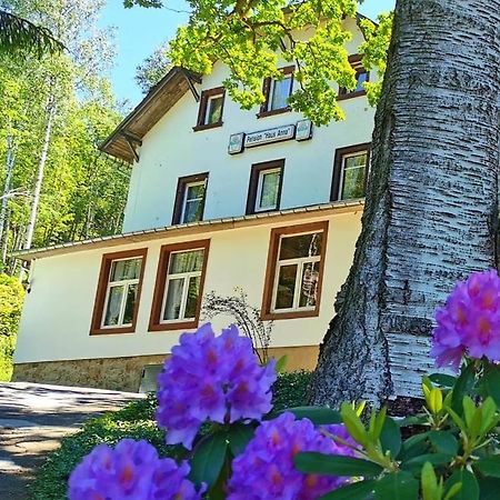 Pension Haus Anna Altenberg Eksteriør billede