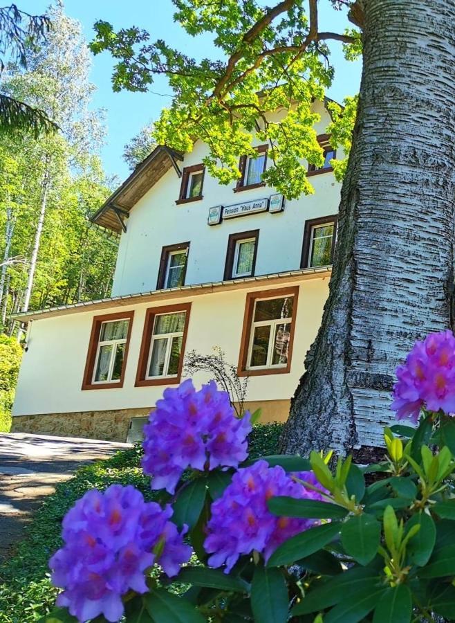 Pension Haus Anna Altenberg Eksteriør billede